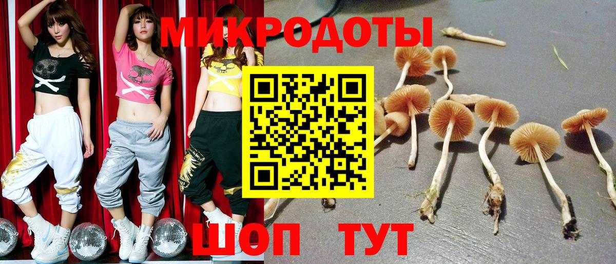 сколько стоит  Галлюциногенные грибы GOLDEN TEACHER  Галлюциногенные грибы Cubensis  Вход с VPN  Кизилюрт 