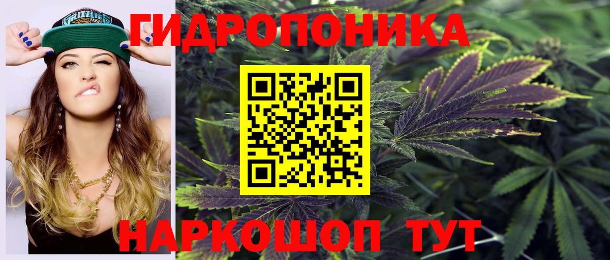 Кизилюрт  Канабис THC 21%  Вход с VPN  Шишки марихуана тримм  Конопля сатива 